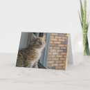 Recherche de siffler vœux cartes Chat