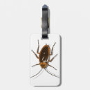 Search for metamorphosis accessories Author
