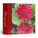 Search for gerbera daisies binders Floral