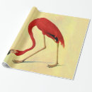 Recherche de john papier cadeau Oiseau