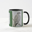 Search for american kestrel mugs Raptor