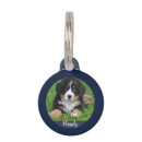 Recherche de dog supplies Chien