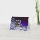 Search for wolf night cards Wild animals