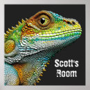 Search for lizard posters Animals