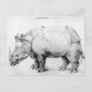 Recherche de buche cartes postales Rhinocéros d'albrecht