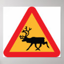 Search for reindeer posters Cool
