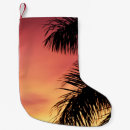 Recherche de palmier chaussette de noël Nature