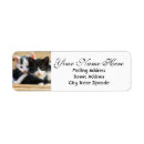 Search for two cats return address labels Cute