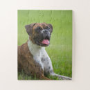 Search for boxer puzzles Cute