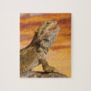 Search for bearded dragon puzzles Animals