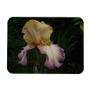 Search for dark purple rectangular magnets Floral