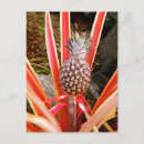 Search for decorative postcards Travel