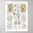 Search for acupuncture posters Tcm