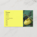 Recherche de pantoufle photographie Nature