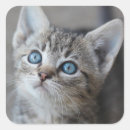 Search for animal images stickers Photography