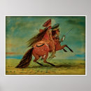 Search for the catlins posters Indian