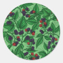 Recherche de blackberry autocollants Baie