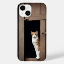 Search for tabby cases Kitty