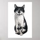 Recherche de chaton noir et blanc posters Minou