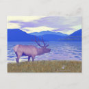 Recherche de wapiti cartes postales Animaux