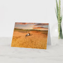 Search for arid cards Cactus