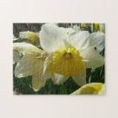 Recherche de jonquilles puzzles Printemps