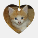 Search for orange tabby cat ornaments Sweet