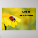 Search for a bugs life posters Nature