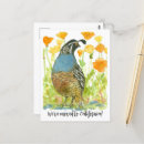 Recherche de caille cartes postales Californie