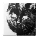 Recherche de chaton adorable carreaux Animal