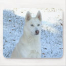 Search for husky mousepads Canine
