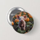 Search for happy babies buttons Baby