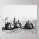 Search for camel posters White