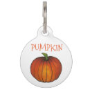 Search for halloween dog tags Orange
