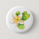 Search for plumeria buttons Tropical