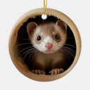 Search for ferret pets ornaments Ferrets