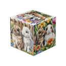 Recherche de photo cubes Jolie