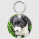 Search for herding dog keychains Puppies