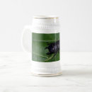 Search for photography beer glasses Animal