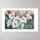 Search for arums posters Flowers