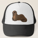 Search for otter baseball hats Mammal