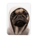 Recherche de à capuche magnets Animal