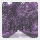 Search for road tree stickers Forest
