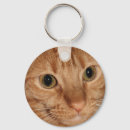 Search for orange tabby cat keychains Ginger