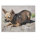 Recherche de chiwawa bureau fournitures Animaux