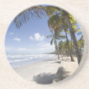 Search for attraction coasters Travel