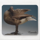 Search for canada goose electronics Canadian