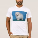Search for arf Woof