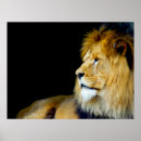 Search for big five posters Wildlife