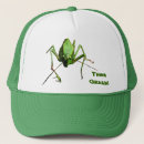 Search for ecologic hats Nature